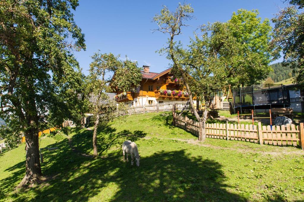 Appartements Lehenhof Sankt Johann im Pongau Exterior foto